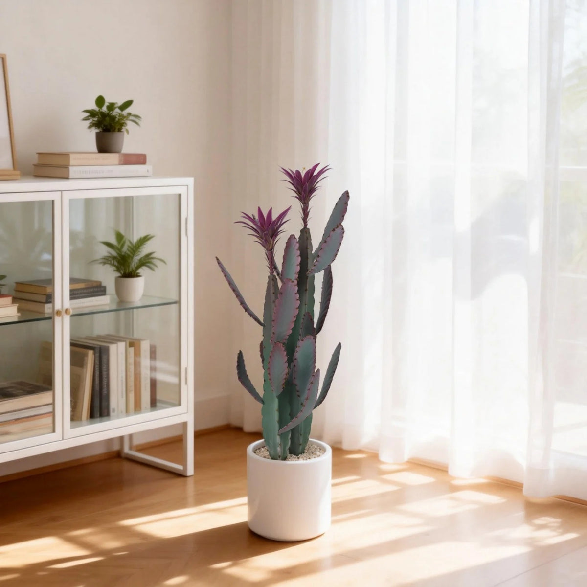 c7f2f8c2-eefb-4930-aa00-fd4f7cfded1b