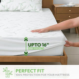 ddbe0d54-706b-486c-9655-a68cbcea11d2