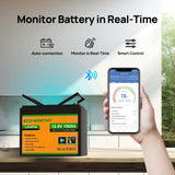 ECO-WORTHY 2pack 12V 100AH LiFePO4 Lithium Battery with Bluetooth, Max.1280Wh Energy, Low Temperature Protection for RV