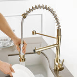 Gold Kitchen Faucets Gold Torneira Para Cozinha Faucet for Kitchen Sink Single Pull Out Spring Spout Mixers Hot Cold Water Tap