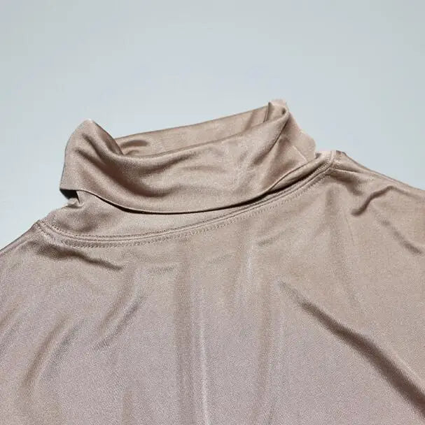 Women's Silk Turtleneck Basic Tees Tops Female Elastic Silk Shirt TB1158