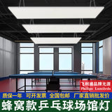 蜂窝款防眩目球馆专用灯室内兵乓球照明灯工厂车间无影吊灯体育馆