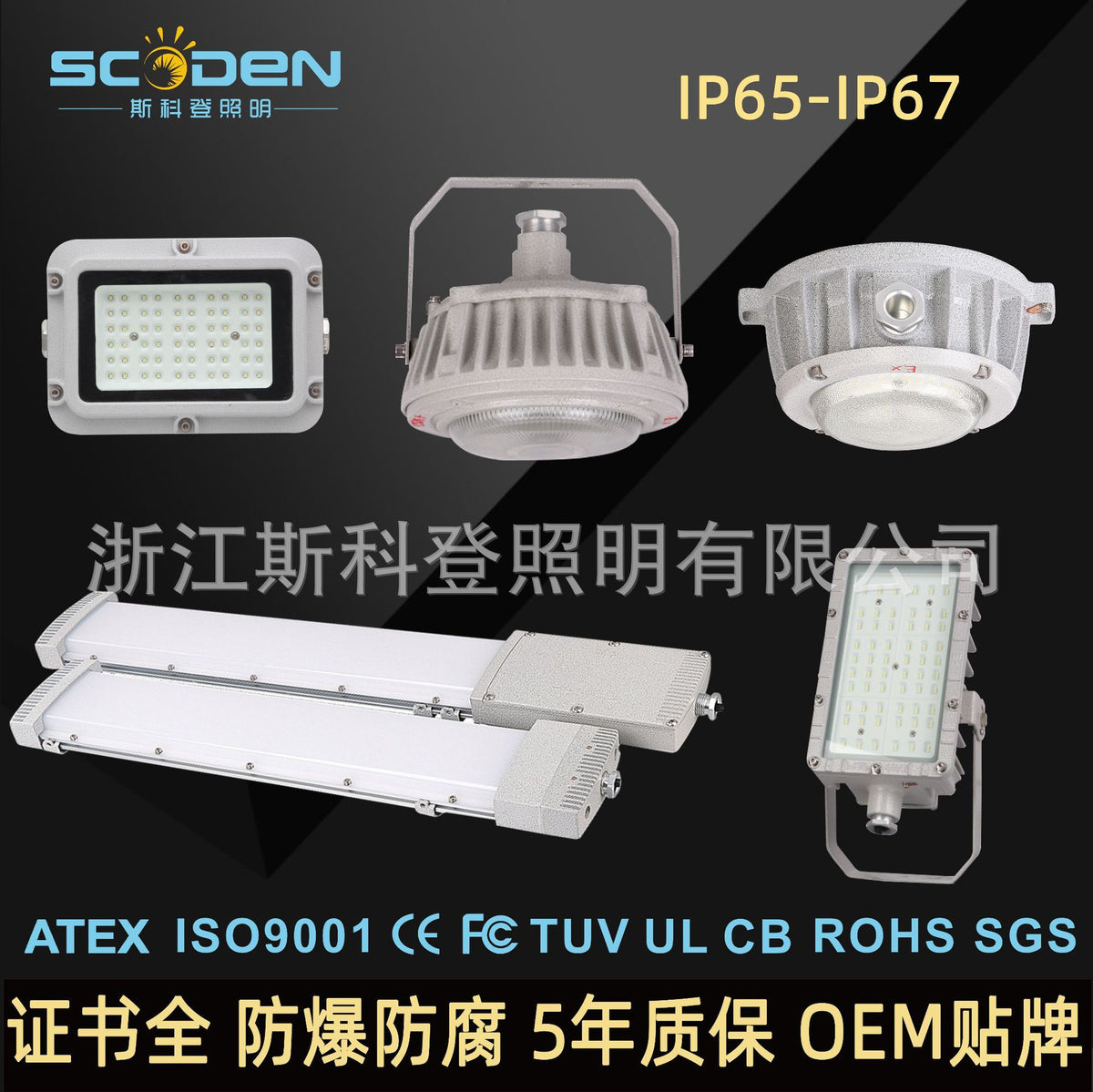 36v24v国标应急防爆粉尘车间石化泵房20w30w40w50wLED三防吸顶灯