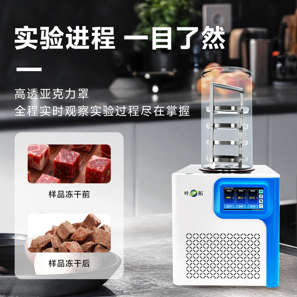 上海叶拓 YTLG-10A/12A 实验室家用立式台式真空冷冻干燥机冻干机