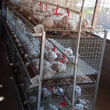 Automatic H Type 4tier Battery Chicken Cage Broiler Layer Poultry Farm 1000 Birds Animal Broiler Cage for Sale