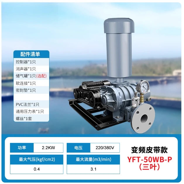 Intelligent Frequency Conversion Three-leaf High-pressure Roots Air Pump Aerator Blower Oxygen Pump Special for Fish Ponds