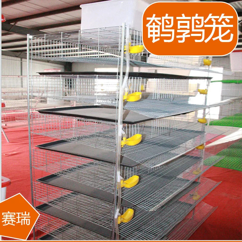 Automatic quail cage for egg collection, breeding equipment for pigeons, bird cage farms for farmers