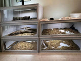 120cm Snake Cage Reptile Terrarium with Belt Closure Made of Glass and Plastic Packed in Box with Plastic Tray