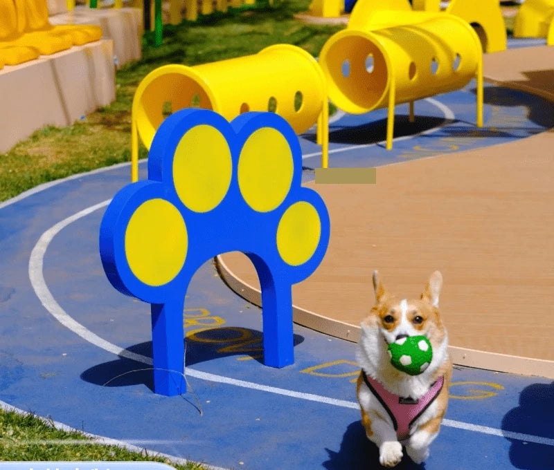 Colorful durable and easy-to-clean pet training equipment dog platform for dog agility training and pet socialization