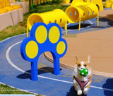 Colorful durable and easy-to-clean pet training equipment dog platform for dog agility training and pet socialization