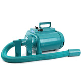 Professional Pet Hair Dryer Blower Double Motor 3300W 100-240V Pet Grooming Dryer for Dogs Cats Model LT1090CH