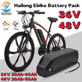New 36V 48V Battery Hailong Battery Polyester DP-9, BMS 18650 Cell, Lithium-Ion 36V 48V Battery Pack Durable