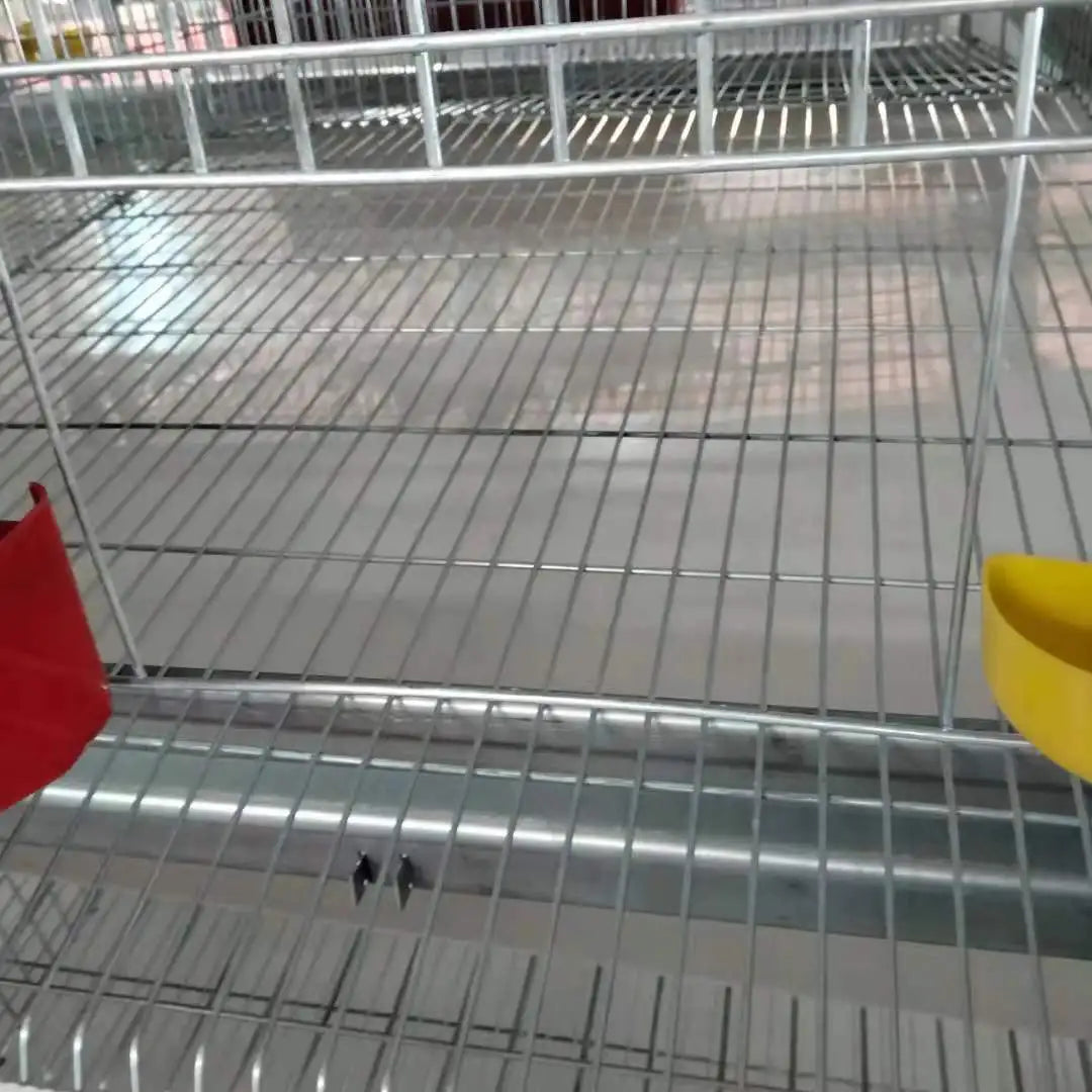 Automatic quail cage for egg collection, breeding equipment for pigeons, bird cage farms for farmers