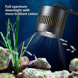 All-in-One AquariumModern Luxury Natural Stream Tank Pebble Landscape Goldfish Ultra White Glass Bottom Filter Smart Fish Tank F