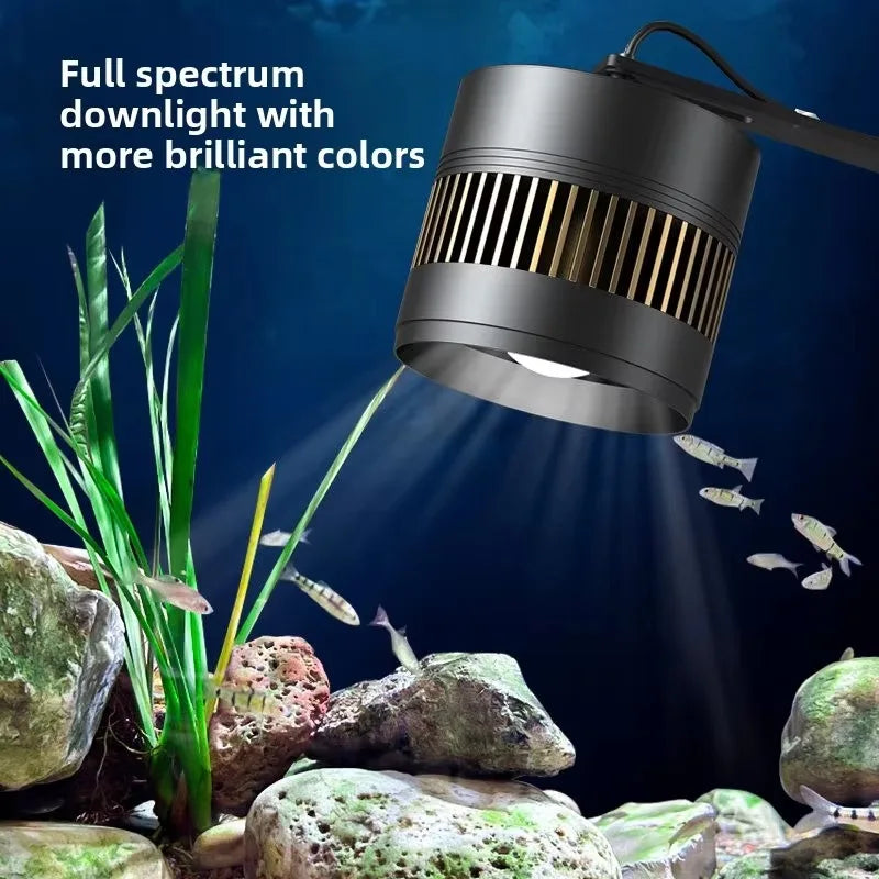 All-in-One AquariumModern Luxury Natural Stream Tank Pebble Landscape Goldfish Ultra White Glass Bottom Filter Smart Fish Tank F