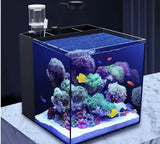 3000L/h Small Acrylic Protein Skimmer for Fish Tank Aquarium Foam Separator with Solid Filter Made from PP Material