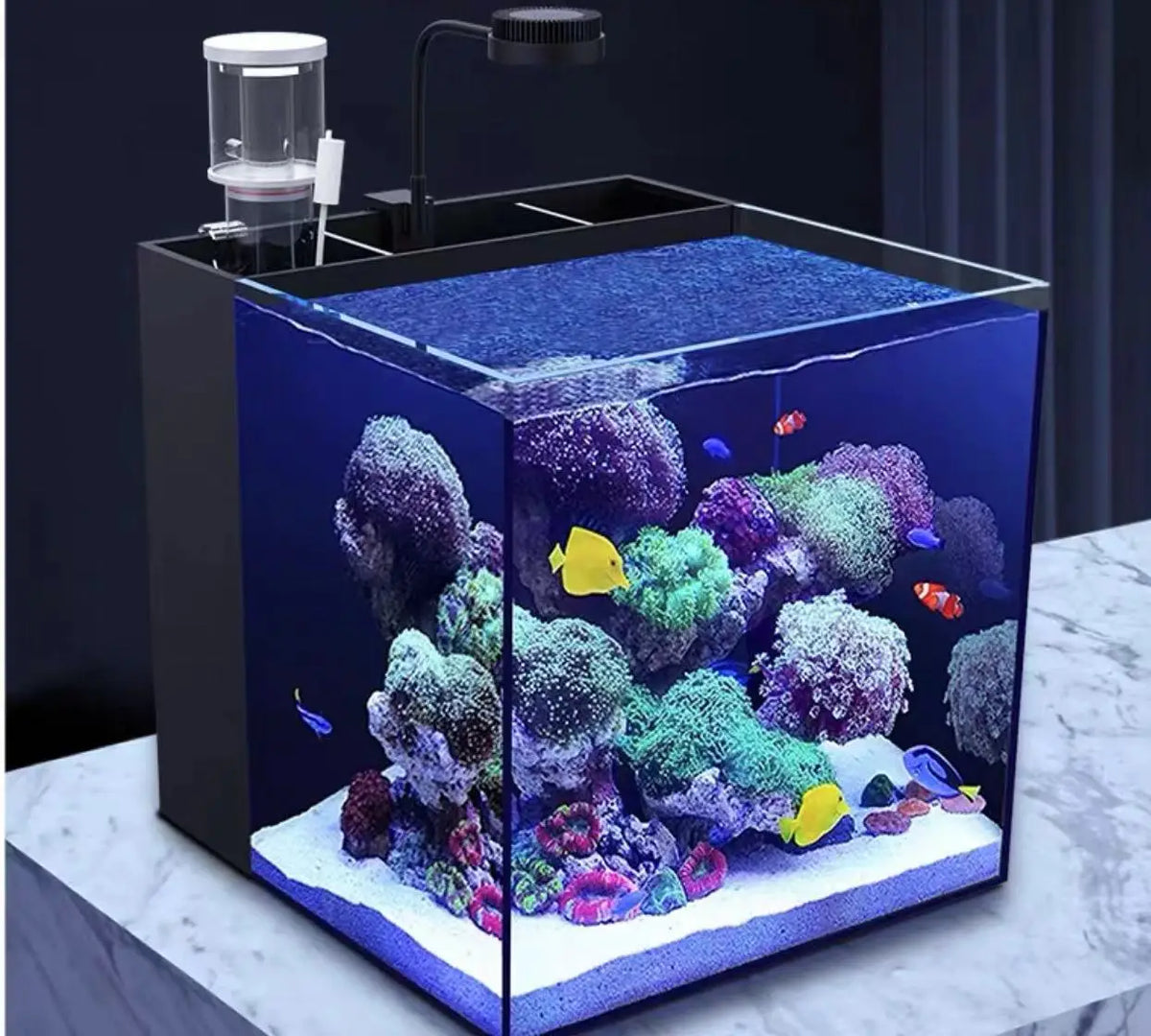 3000L/h Small Acrylic Protein Skimmer for Fish Tank Aquarium Foam Separator with Solid Filter Made from PP Material