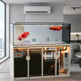 All-in-One AquariumIntelligent Large Rectangular Aquarium For Sale - The Store Showcases Fully Equipped Ultra-transparent Glass