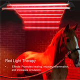 New Arrival 640W 800W Infrared Therapy Lamp Red Light Therapy LED Light for Equine Horse Animal Pain Relief Beauty Personal Care