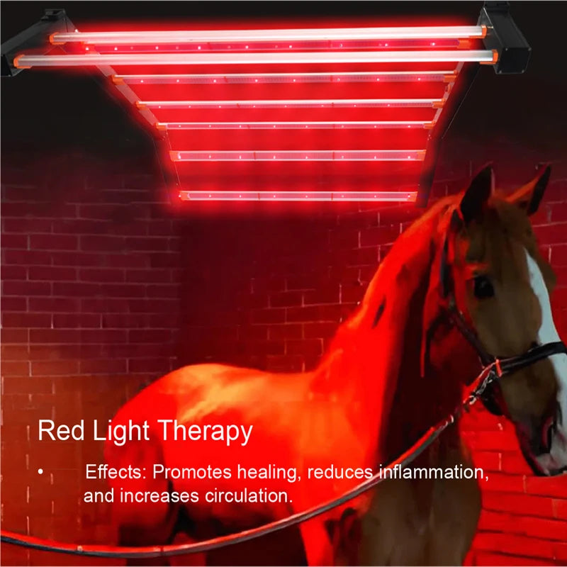 New Arrival 640W 800W Infrared Therapy Lamp Red Light Therapy LED Light for Equine Horse Animal Pain Relief Beauty Personal Care