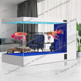 Filter fish tank living room large ecological water-free special fish tank for koi aquarium