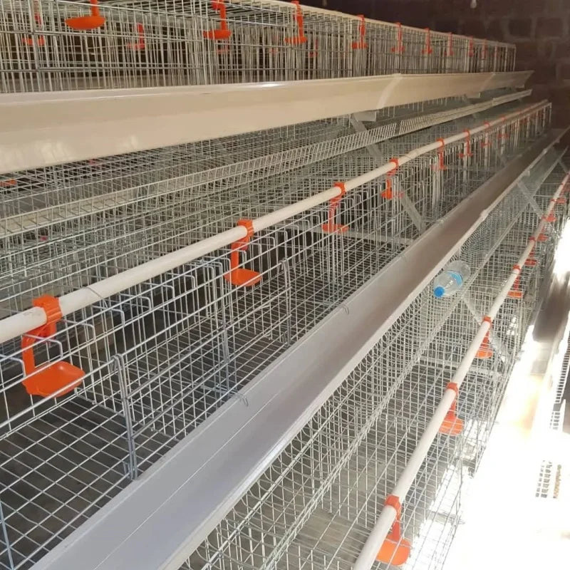 Hot selling 3/4 layer Type A 1000-10000 poultry equipment chicken coop chicken cage layer chicken farm