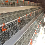Hot selling 3/4 layer Type A 1000-10000 poultry equipment chicken coop chicken cage layer chicken farm