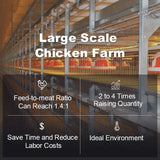 Good Price H Type Poultry Equipment Broiler Battery Chicken Cage Sale