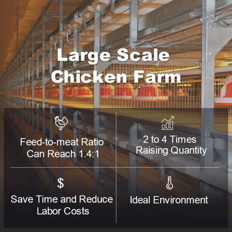 Good Price H Type Poultry Equipment Broiler Battery Chicken Cage Sale