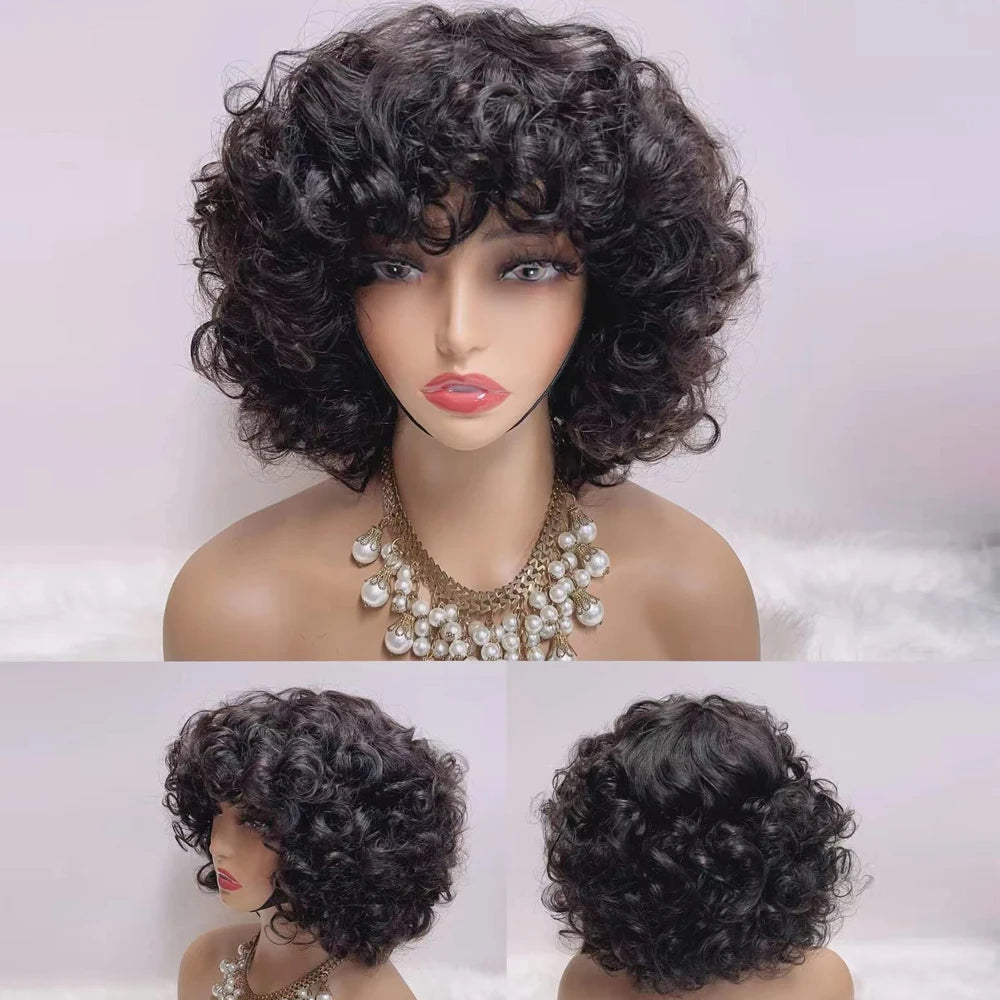300% Pixie Cut Human Hair Wigs For Women Afro Rose Curly Funmi Glueless Wigs Human Hair Short Bouncy Curly Bob Wig With Bangs