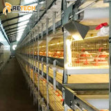 Automatic Broiler Large H Type Broiler Cage Chicken House Sale
