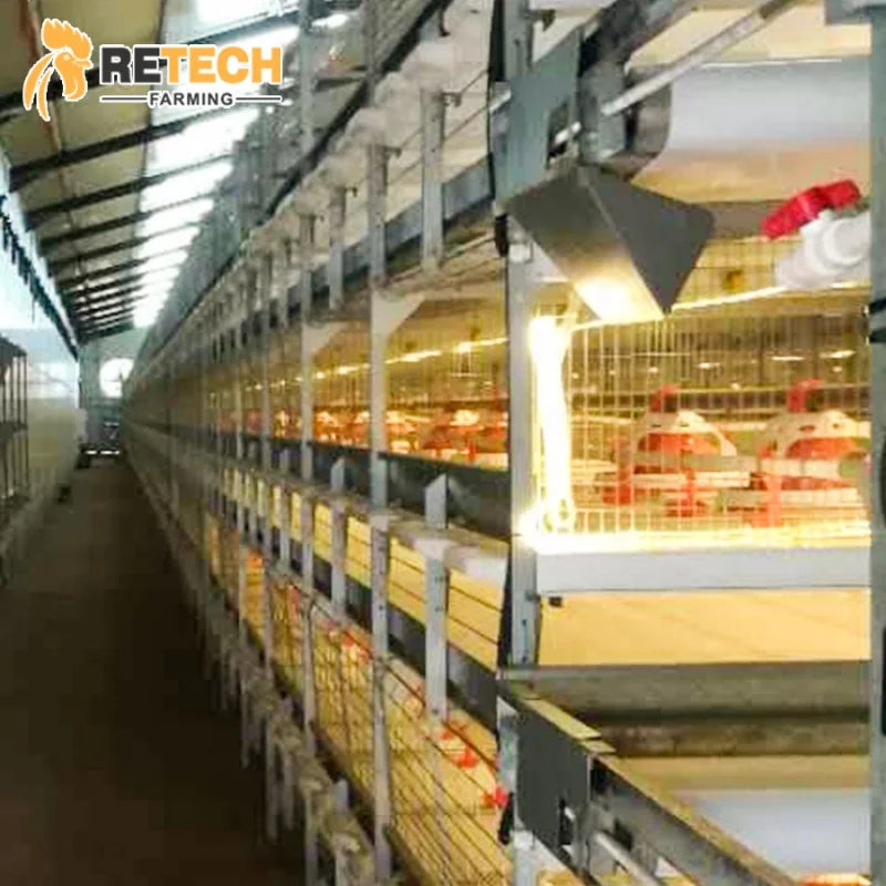Automatic Broiler Large H Type Broiler Cage Chicken House Sale