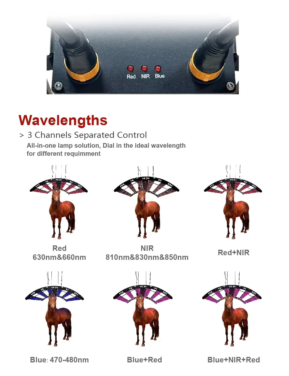 AQSHE 552 Pcs Leds Solarium Equine Horse Full Body 6 Wavelength Near Infrared Red Light Led Therapy  Solarium Pony Bar 1.8M