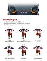 AQSHE 552 Pcs Leds Solarium Equine Horse Full Body 6 Wavelength Near Infrared Red Light Led Therapy  Solarium Pony Bar 1.8M
