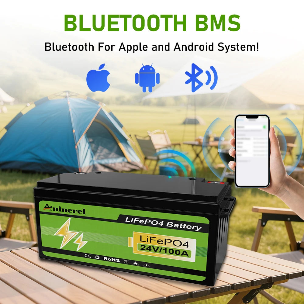 Aninerel 24V 100Ah 2560Wh Lithium LiFePO4 Battery with 100A BMS Perfect for RV Golf Cart Solar Power System Trolling Motor