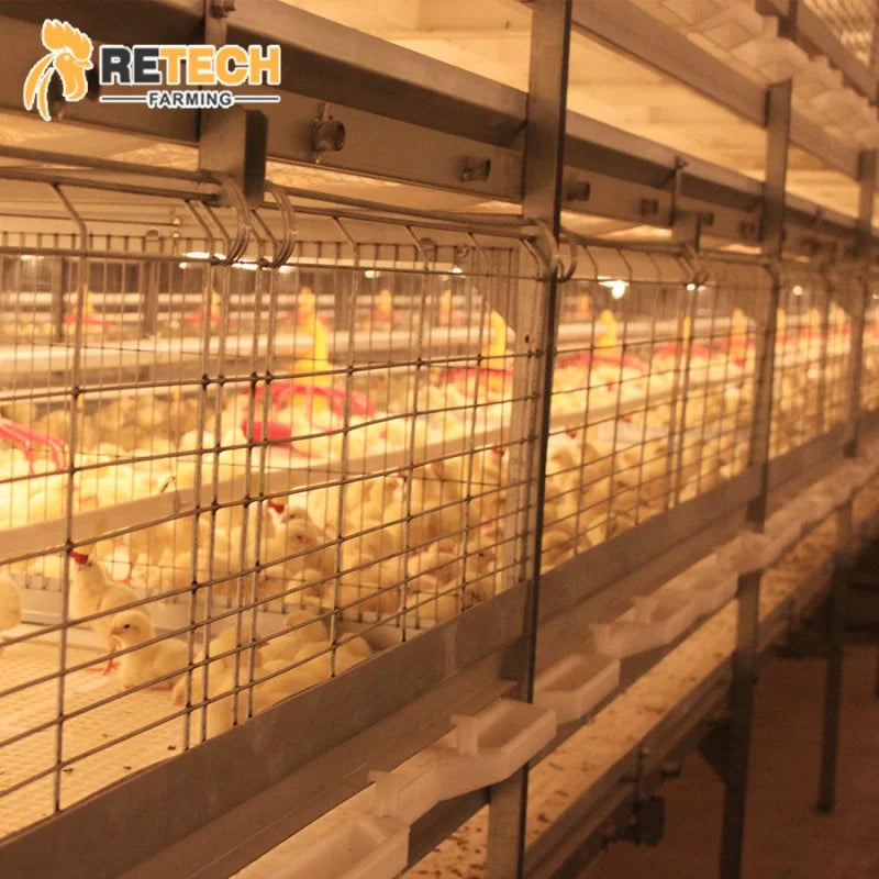 3 Tiers H Type Steel Structure Large Scale Poultry Shed Broiler Chicken Cage System Sale