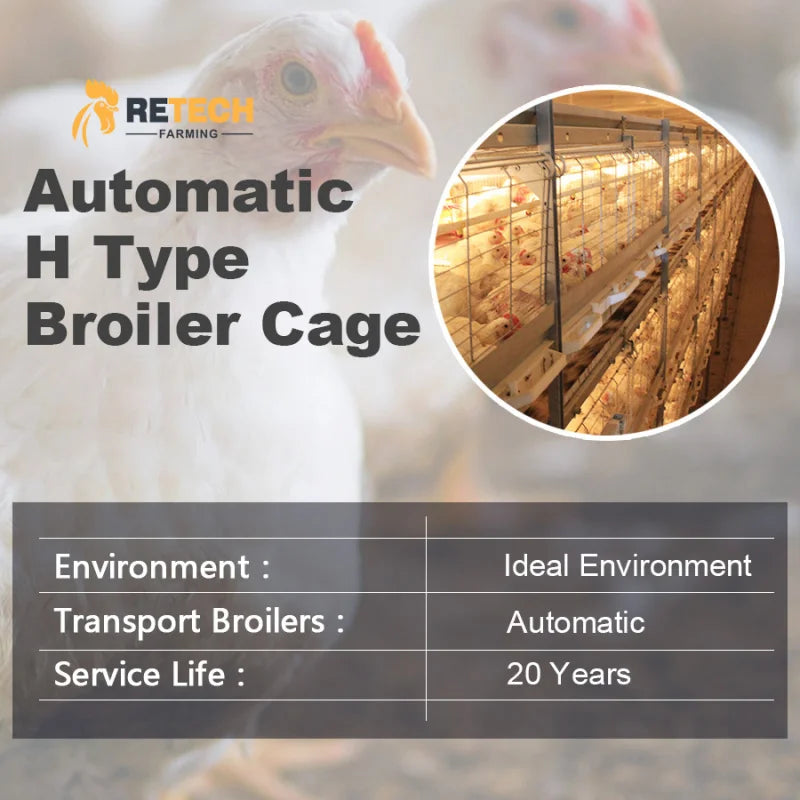 New Design Poultry Equipment Breeder House Wire Chicken Bird Breeding Cage