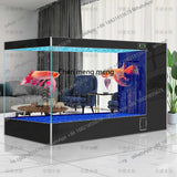 Filter fish tank living room large ecological water-free special fish tank for koi aquarium