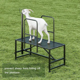 Sheep Milking Rack Adjustable Height Wool Trimming Fixation Metal Racks Sturdy and Durable Goat Trimming Farm Animal Supplies