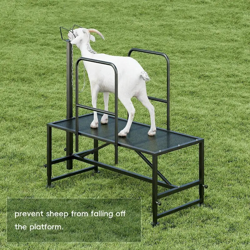 Sheep Milking Rack Adjustable Height Wool Trimming Fixation Metal Racks Sturdy and Durable Goat Trimming Farm Animal Supplies
