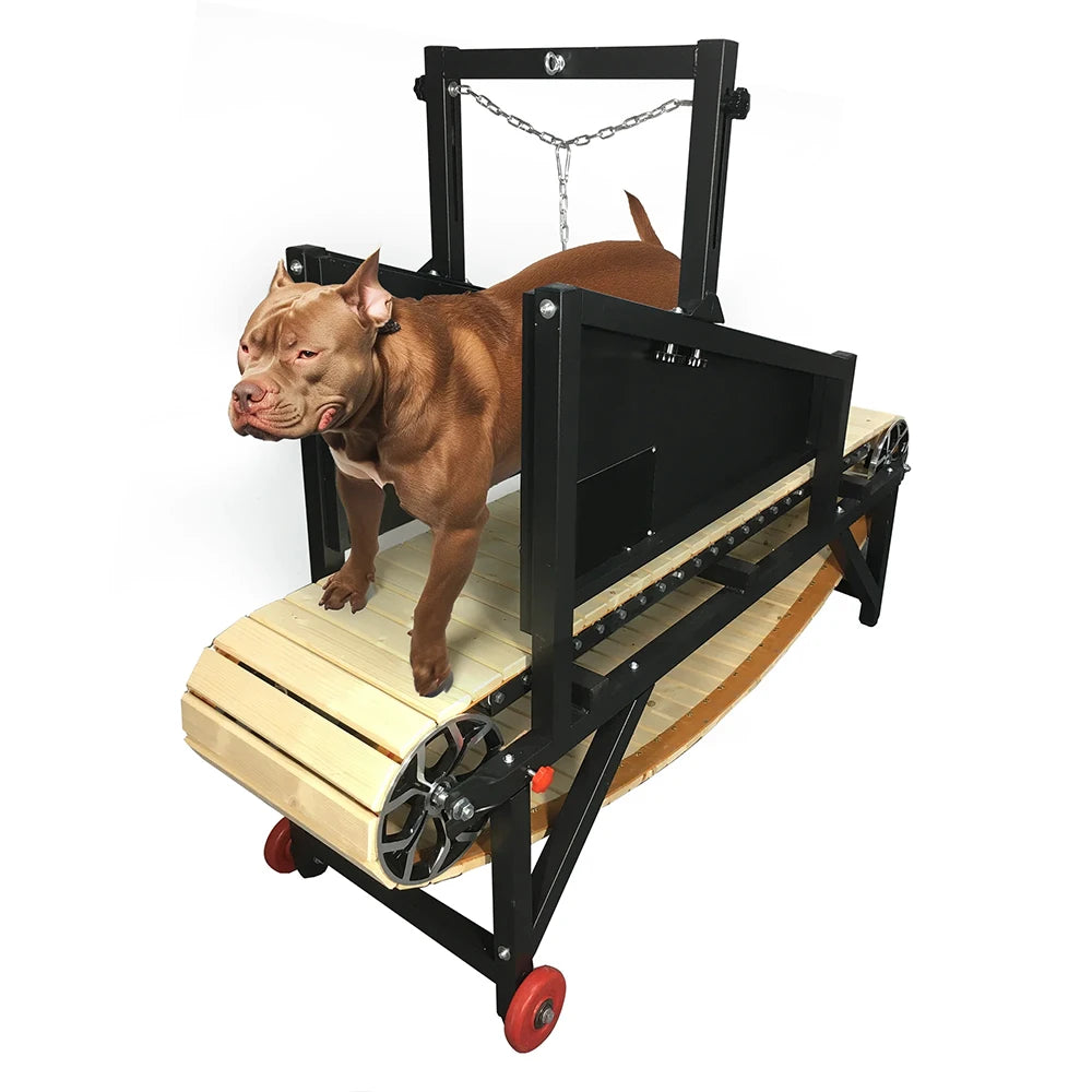 Fashionable Wood and Aluminium Pet Training Supplies-Dog Treadmill Walking Machine with Hand Brake for Effective Animal Training