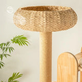 Nordic High-End Cat Tree with Capsule Space Saving Large Cat Scratcher Solid Wood Furniture & Scratchers casitas para gatos FYCT