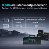 ECO-WORTHY Upgraded (Version 2) 48V 60A Lithium Battery Charger, Adjustable Voltage & Current, for Server Rack LiFePO4 Battery