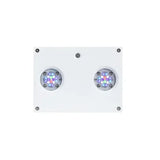 Aqua Illumination AI Hydra 32HD/64HD Reef LED Light - Black/White Body for Marine Coral Aquariums