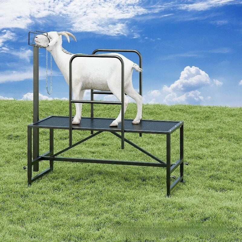 Sheep Milking Rack Adjustable Height Wool Trimming Fixation Metal Racks Sturdy and Durable Goat Trimming Farm Animal Supplies