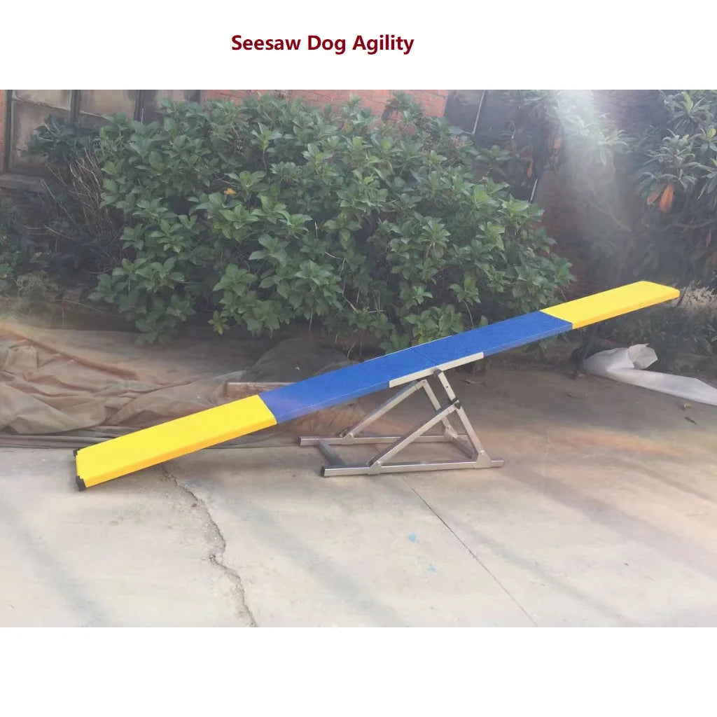 FCI Dog Seesaw Teeter Agility Set Obstacle Equipments Training Competition Dog Training Equipment