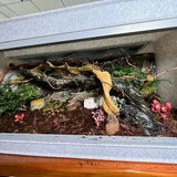 120cm Snake Cage Reptile Terrarium with Belt Closure Made of Glass and Plastic Packed in Box with Plastic Tray