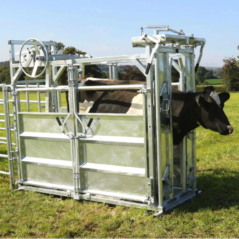 Hot-dipped Galvanized Cattle Corral Panel Cattle Squeeze Chute Cattle Crush