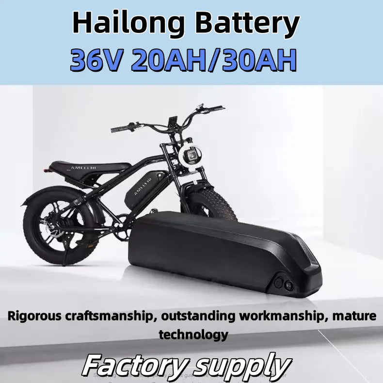 Hailong Bicycle 36V 20AH/ Hailong Battery Pack Polyester DP-9 with , Motor 750W/1000W BMS Built in Power Battery 100% original