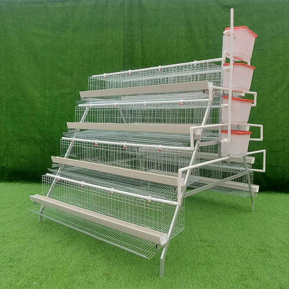 For Sale Automatic Type A Poultry Farm 5000 Birds Hen  Layer Battery Chicken Animal Cage